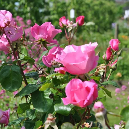 Eco-domaine La Fontaine - Hotel-spa - De La Fontaine Aux Bretons Pornic