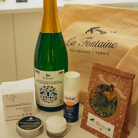 ホテル Eco-domaine La Fontaine - Hotel-spa - 300 M De La Fontaine Aux Bretons