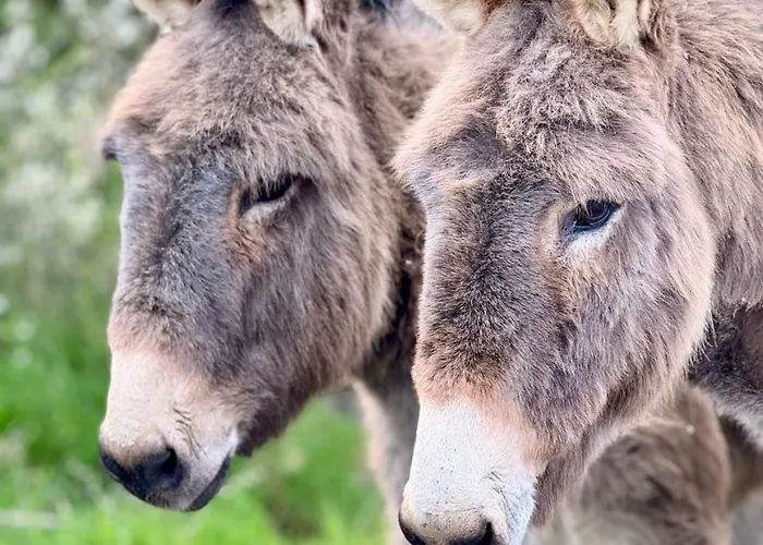 Eco-Domaine La Fontaine - Hotel-Spa - 300 M Plage De La Fontaine Aux Bretons 4*