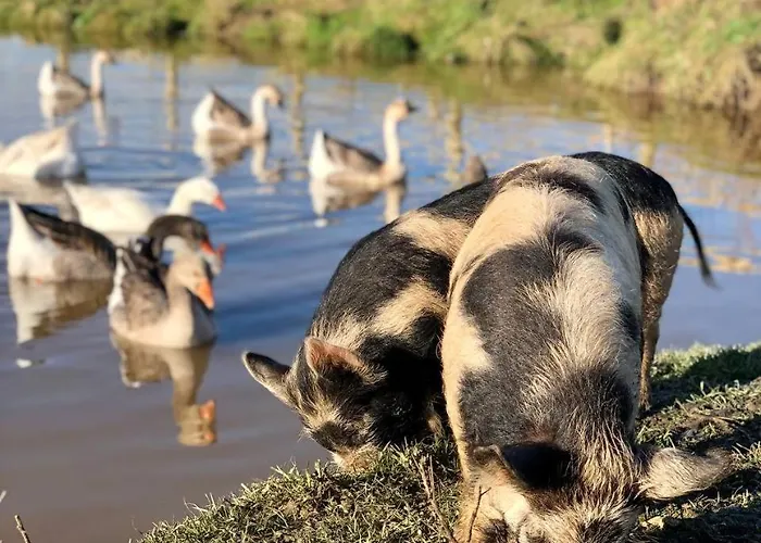Eco-Domaine La Fontaine - Hotel-Spa - 300 M Plage De La Fontaine Aux Bretons Hotel 4*