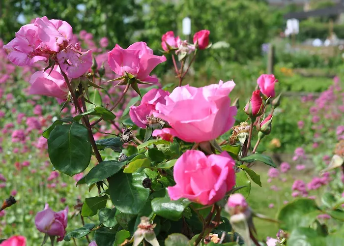 Eco-Domaine La Fontaine - Hotel-Spa - 300 M Plage De La Fontaine Aux Bretons Pornic